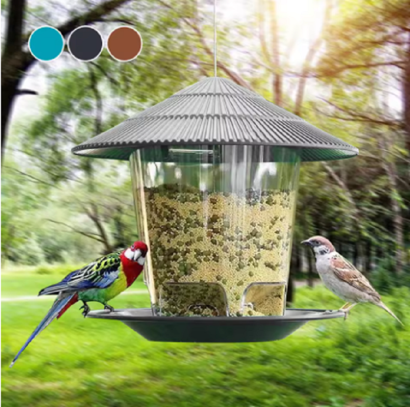 Food & Snacks Coloring Book Bold & Easy Pdf - Bird Feeder Automatic Foot Feeding Tool