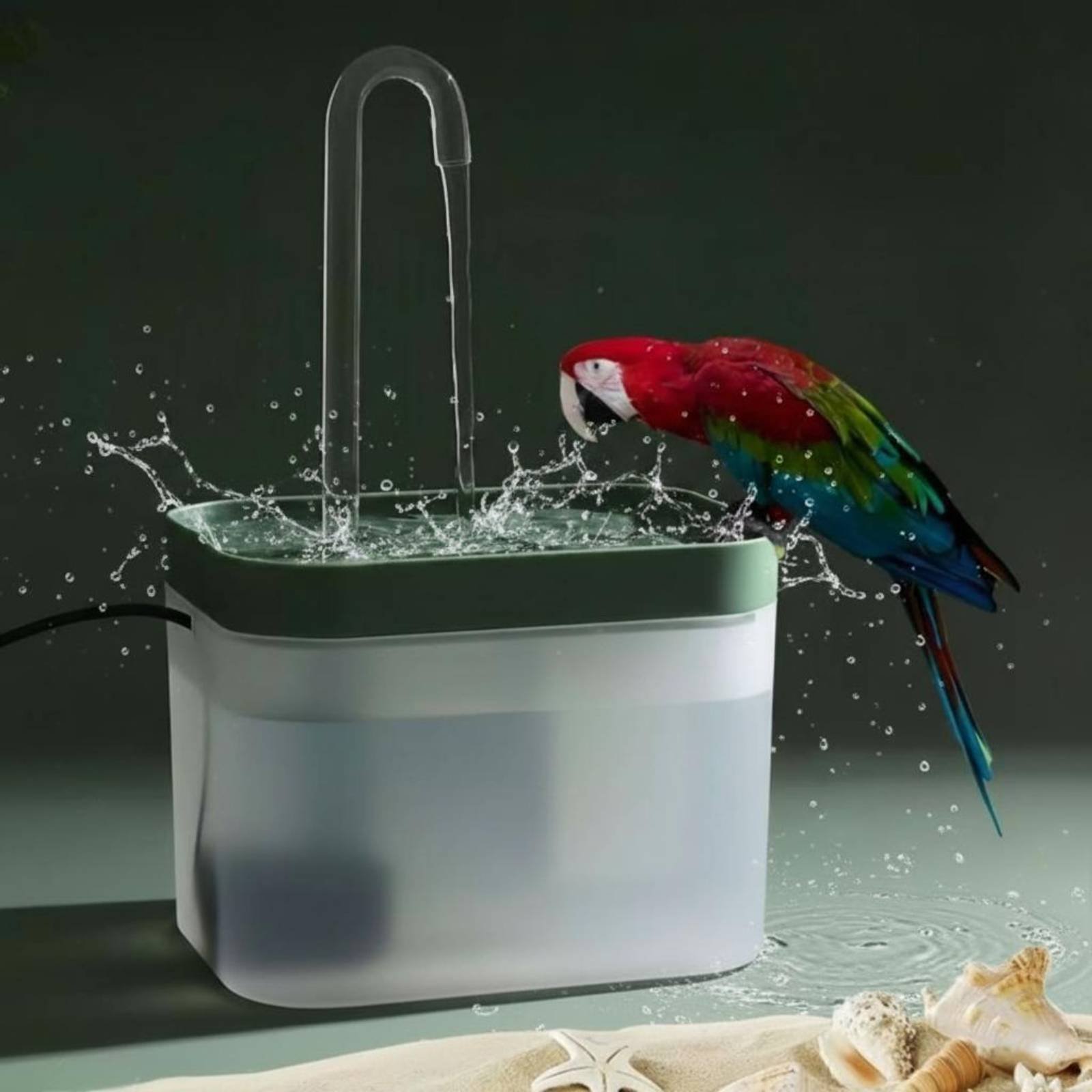 Food & Snacks Coloring Book Bold & Easy Pdf - Electric Avian Bath Food-Safe Material Parrot