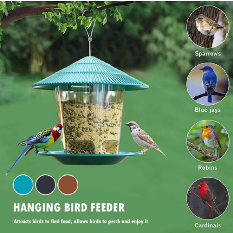 Bird Feeder Automatic Foot Fee – обзор и цена Food & Snacks Coloring Book Bold & Easy Pdf