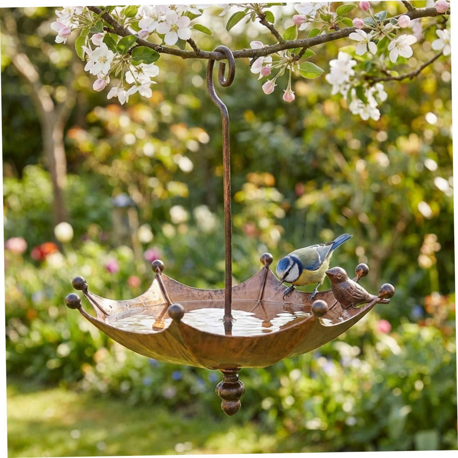 Umbrella Bird Feeder 3 in 1 Ha – обзор и цена Food & Snacks Coloring Book Bold & Easy Pdf
