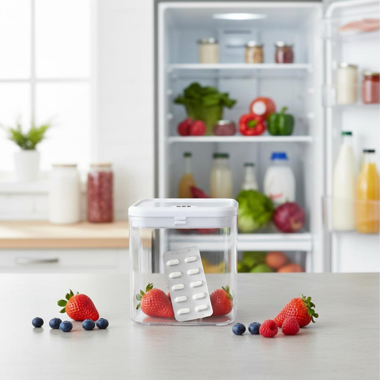 Clear Lockable Box Versatile L – обзор и цена Food & Snacks Coloring